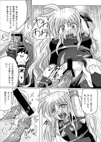 [Kurodama-ya] Kurenai no Sho ~Fate Hen~ (Mahou Shoujo Lyrical Nanoha / Magical Girl Lyrical Nanoha)