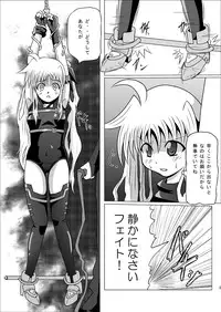 [Kurodama-ya] Kurenai no Sho ~Fate Hen~ (Mahou Shoujo Lyrical Nanoha / Magical Girl Lyrical Nanoha)