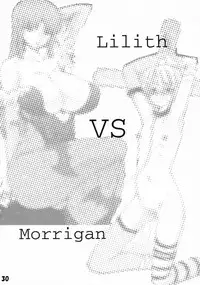 (COMIC1☆3) [Nazumi Sangyou (RED-RUM, Tanken Harahara)] Nazumi Sangyou no Hon 2 (Darkstalkers)