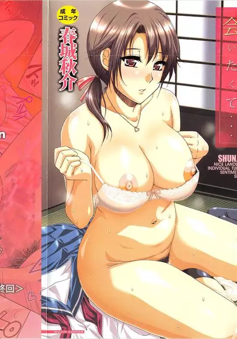 Tada Koishikute, Aitakute...