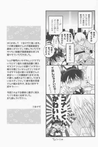 [kankinPACO] Cat night (meitanteikonan)