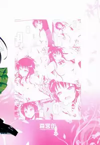 (C86) [Morimiyakan (Morimiya Masayuki)] Hana no Toriko (To LOVE-Ru) [Chinese] [幻域汉化]