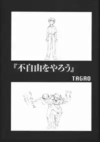 (C51) [Housoutou (Tagro)] EVA/I (Neon Genesis Evangelion)