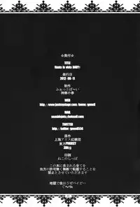 (C82) [Fatboy (Kamina Koharu)] Hasta la vista BABY!! (Touhou Project)