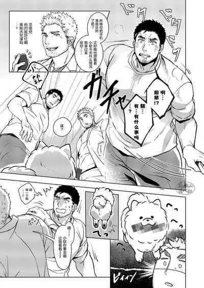 Puppy Love |忠犬情缘