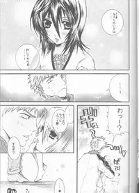 (SUPER14) [PONCHEES (KARI) (Irohane Sui)] STRAWBERRY ON THE SHORTCAKE (BLEACH)