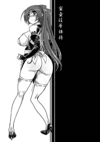(C81) [Matsumoto Drill Kenkyuujo (Naganoon)] Mitsutsubo Injoku Settai - Hostgirl Kousaka Tamaki Dono Ana demo Goriyou kudasai - (ToHeart2)