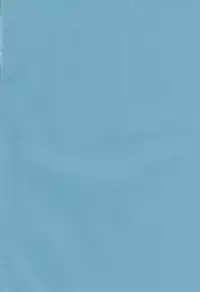 (C88) [Nagiyamasugi (Nagiyama)] Hifuu Ryoujoku 4 Renko Okusuri Jikken (Touhou Project) [Chinese] [CE家族社]