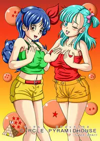 [Pyramid House (Massuruman)] Kame Sennin no Bitch Choukyou (Dragon Ball) [English] [Forbidden Translations] [Digital]