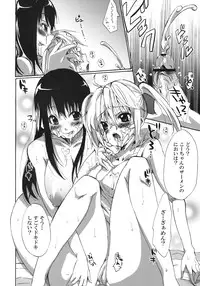 (SC45) [Pannacotta (Shouko)] Ane Dopyu (Ane Doki)