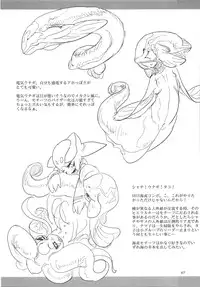 (C89) [SHIS (Z-ton)] A Beautiful Greed Z-ton Jingai Soushuuhen