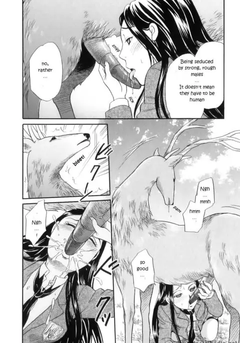 Divine Deer Forest ~Girls' Whereabouts~