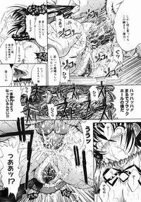 COMIC Megastore 2005-06