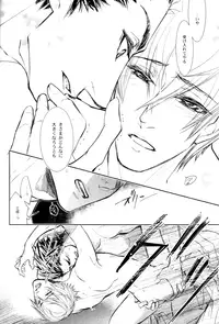 [Nisiki / Nisikiza] Sabita Yume no Hate made mo (Sengoku Basara)