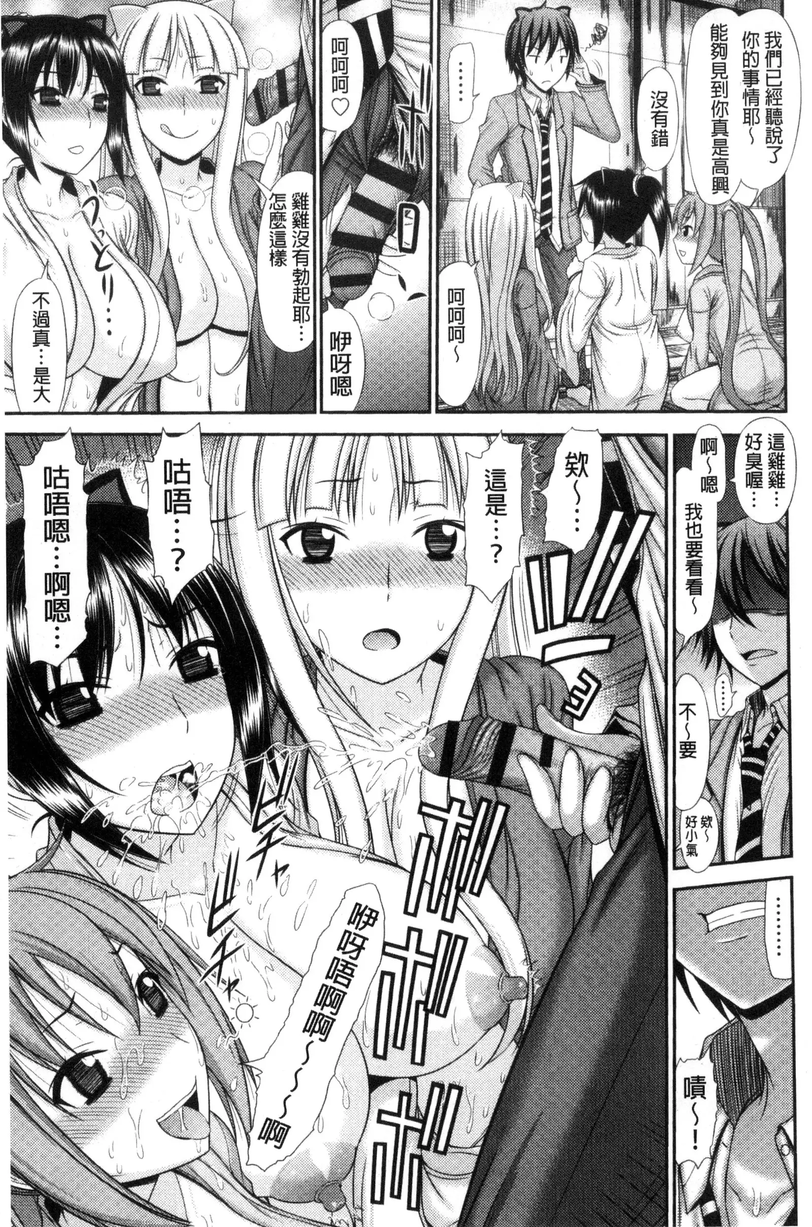 Shimai Seikou Inshuu