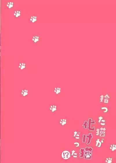 捡回家的猫竟是猫妖