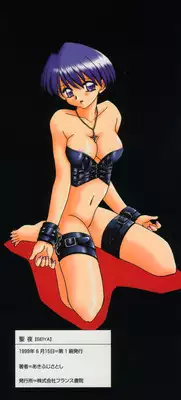 [Akifuji Satoshi] Holy Night