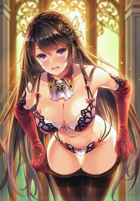 Secret Lingerie Vol. 2