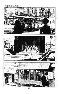 [Takashi Ishii] Tenshi no Harawata Vol. 02