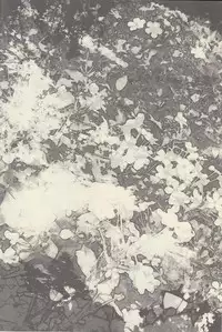 (Renai Jiyuugata! entry2) [Kyuukyuubako (Bandaid)] Mizu no Kokoro (Free!)