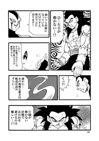 [Monkees (YoungJiJii)] Dragon Ball AF Vol. 12 (Dragon Ball GT)