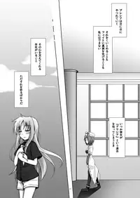 (COMIC1☆4) [Hitsuji Ichiban Shibori (Hitsuji Hako)] Geki Nano!! Zero (Mahou Shoujo Lyrical Nanoha)