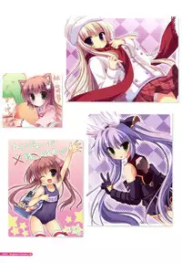 [Yukie] MOEOH Selection Flower Flower Yukie Gashuu