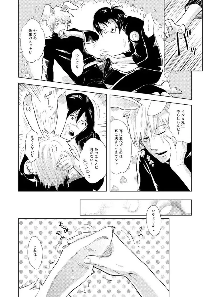 Konoha Kinboshi Doori no Shoukei