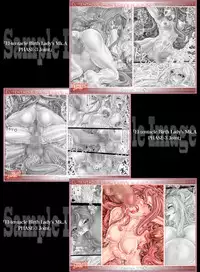 [Kouka Ryouhei (Yanagi Kyouei)] El-tentacle Birth Lady’s Mk.B PHASE-3 "Zen" [Digital]