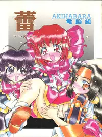 (C54) [Hime Club (Kirikaze)] Tsubomi (Cyber Team in Akihabara)