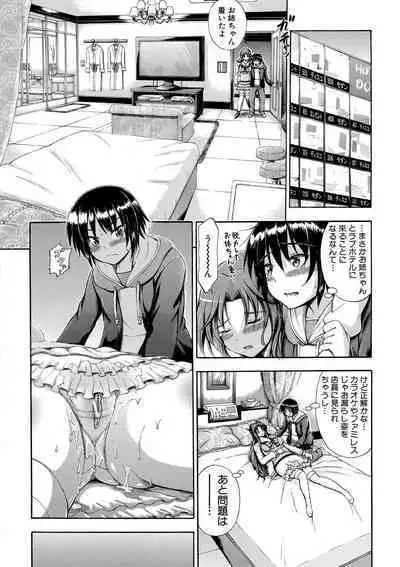 Onee-chan ga Doppelganger ni Netorarechau!