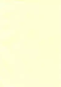 (C92) [Kaminari-neko (Eitarou)] Ankou After Days (Girls und Panzer)