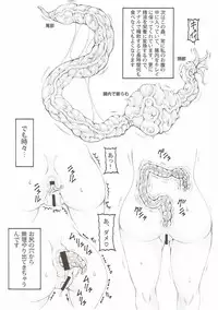 (C92) [Abarenbow Tengu (Izumi Yuujiro)] Japunika Inchuuchou (Fate/stay night)