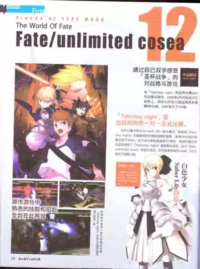 zettairyouiki TYPE-MOON