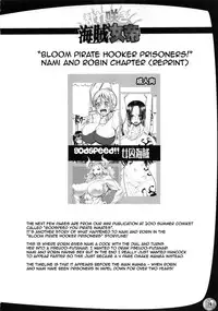 (C79) [Arsenothelus (Rebis, Chinbotsu)] Midarezaki Kaizoku Jotei | Bloom Pirate Hooker Queen (One Piece) [English] {doujin-moe.us}
