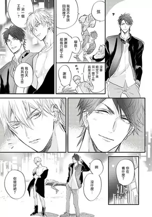 Burlesque Night | 艳舞荒诞夜 1-2