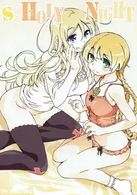 (COMIC1☆11) [OPEN BOOK (Toumi Haruka)] S & HOLY NIGHT (Sword World 2.0)