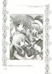 (C73) [PLUM (Kanna)] Mahou Shoujo Magical SEED Soushuuhen X (Mahou Shoujo Lyrical Nanoha)