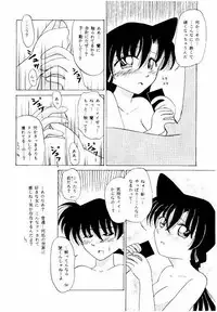 (CR24) [Violence Club (Nozomi Ayaka)] FLOWERS OF ROMANCE (Detective Conan)