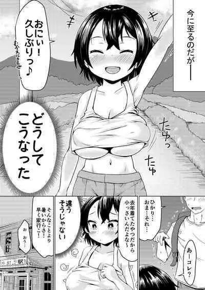 Inaka de Itoko to Ii Koto Suru Natsu.