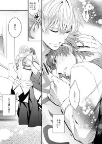 (SPARK11) [Crazy9 (Ichitaka)] Gainen Reisou wa Kiniro no Yume o Miru 3 (Fate/Grand Order)