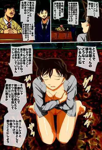 Mouri Ran ga Toutou Hanzai Soshiki ni Tsukamatta!! Meitantei Conan Mouri Ran vs Karate Rokudan Otoko no AV Satsuei