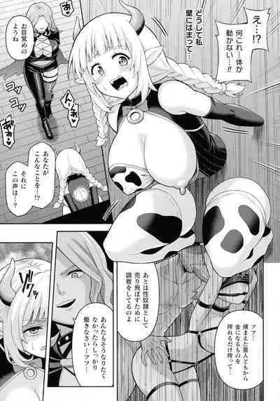 Zetchou Ryouiki Futanarium