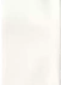 (C76) [Windtone (Safi)] Sweet Cat Colorful! (Strike Witches)