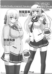 [Shiawase Kyouwakoku (Shiawase no Katachi)] Katashibu 25-shuu [English] [SaHa]