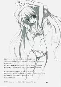 (C72) [Private Garden (Tsurusaki Takahiro)] Retrieve.5 (Mahou Shoujo Lyrical Nanoha)