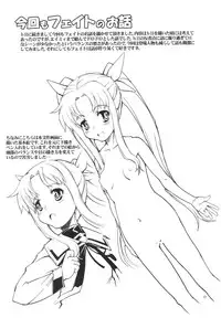 (C74) [Happy Man (Suzuki Kyoutarou)] Unhappy Girl b/12 (Mahou Shoujo Lyrical Nanoha A's)