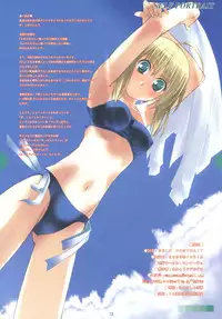 (SC33) [MONTAGE (Takato Suzunosuke)] SELF PORTRAIT (Fate/hollow ataraxia)