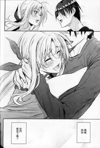 (C87) [IV VA SHIN (Mikuni Mizuki)] Home Sweet Home ~Fate Hen 6~ (Mahou Shoujo Lyrical Nanoha) [Chinese] [Drz漢化]