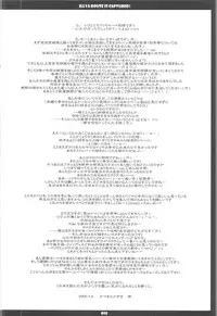 (C68) [THIRD BRAND (Katsumata Kazuki)] Illya Route Kouryaku! Kanzen Kanketsuban (Fate stay night)